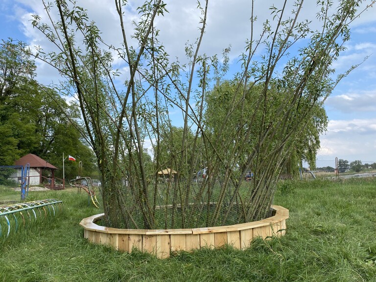 Osłona termiczna nad pryzmą permakulturową w ogrodzie społecznym