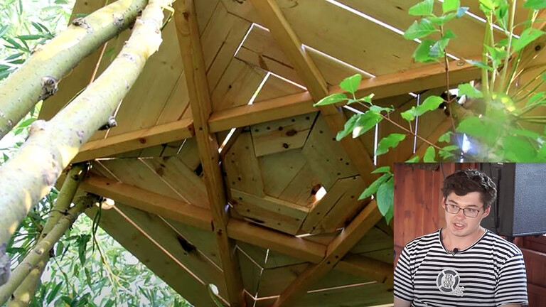 Żywa architektura z wierzby – zrównoważony rozwój w budownictwie.